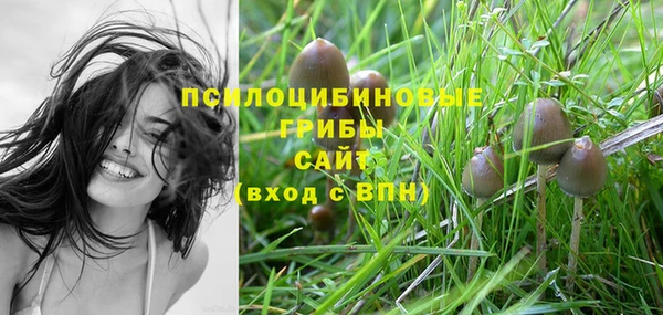 каннабис Алзамай