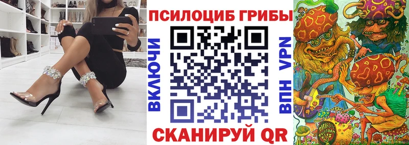 kraken зеркало  Омутнинск  Псилоцибиновые грибы Psilocybine cubensis 
